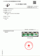 三聯外觀設計專利1-2